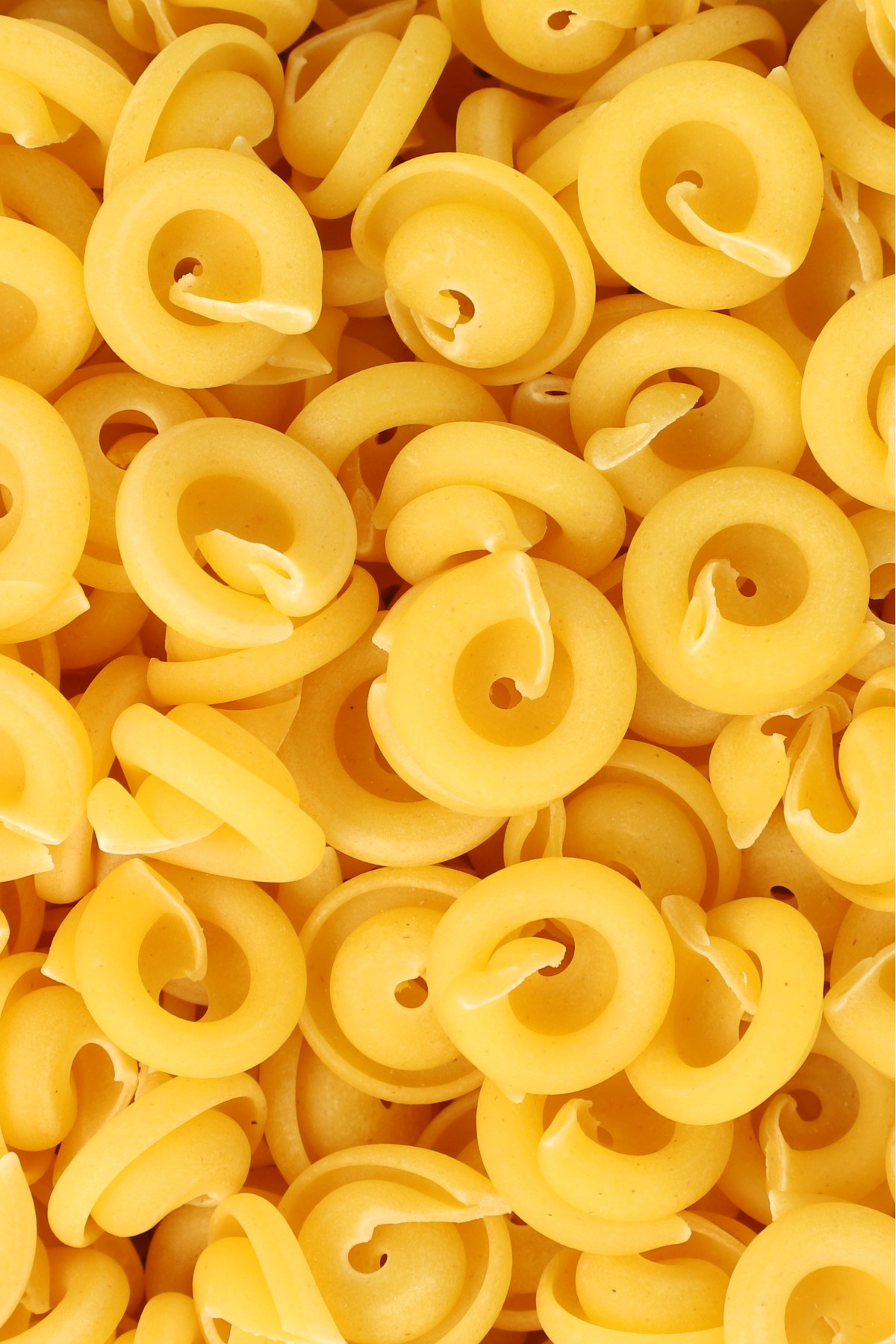30111_Eiernudeln20Schneckli_10.png