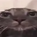 :vro: